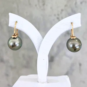 Black Tahitian Pearl Hoop Earrings(Yellow Gold)